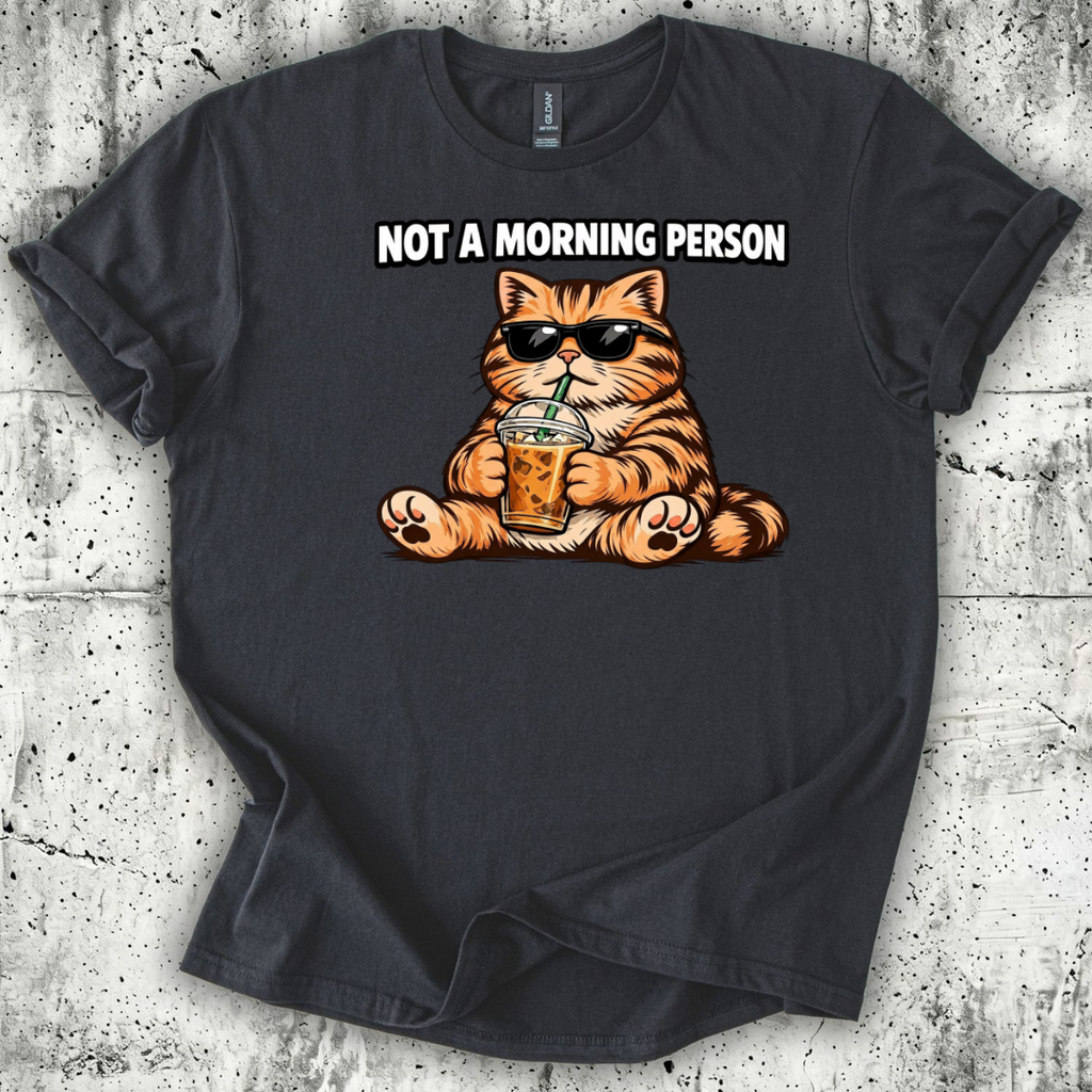 Not a Morning Person T-Shirt