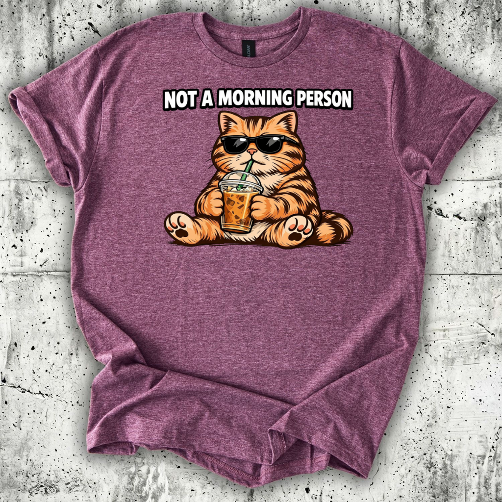 Not a Morning Person T-Shirt